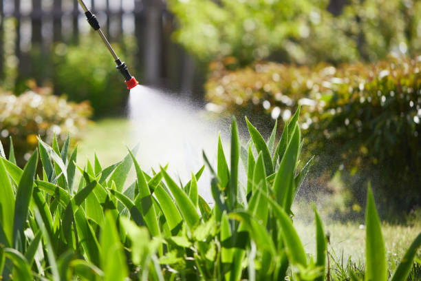 24/7 Emergency Wasp Removal experts in Red Oak, IA