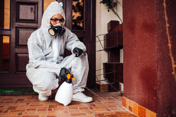 Reliable Wasp Removal contractor in Red Oak, IA by Show Me Pest Control